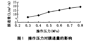 納濾膜，廢水滲透液，COD，去除效果
