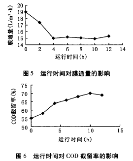 納濾膜，廢水滲透液，COD，去除效果