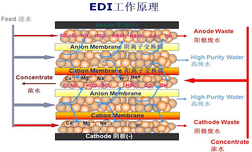  EDI模塊,工作原理,原理圖