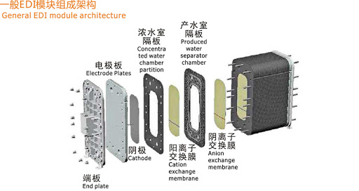 EDI模塊,內部結構圖片